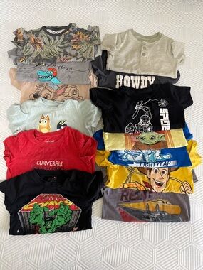 Lot of 13 Boy toddler T Shirts size 3t Multiple Brands